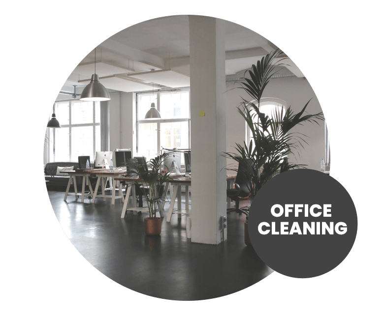 Cleaning and Maintaining Office Carpets