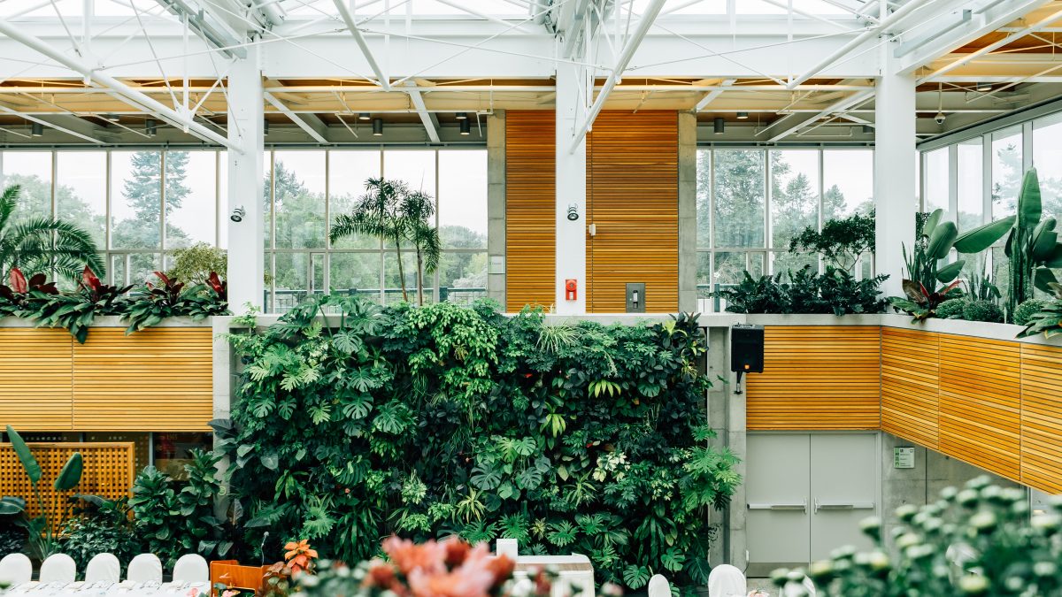 office plants and living walls