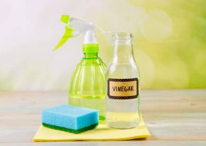 Vinegar Cleaner