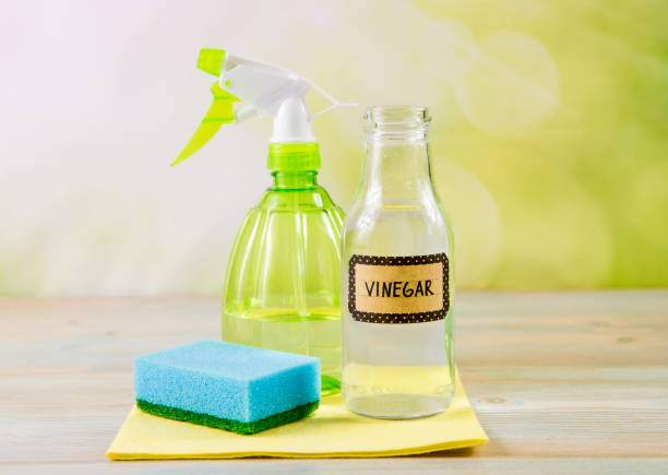 Is Vinegar the Ultimate All-Purpose Cleaner