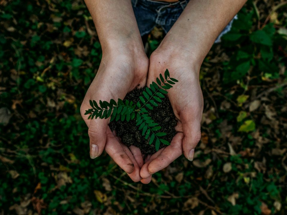 green cleaning company