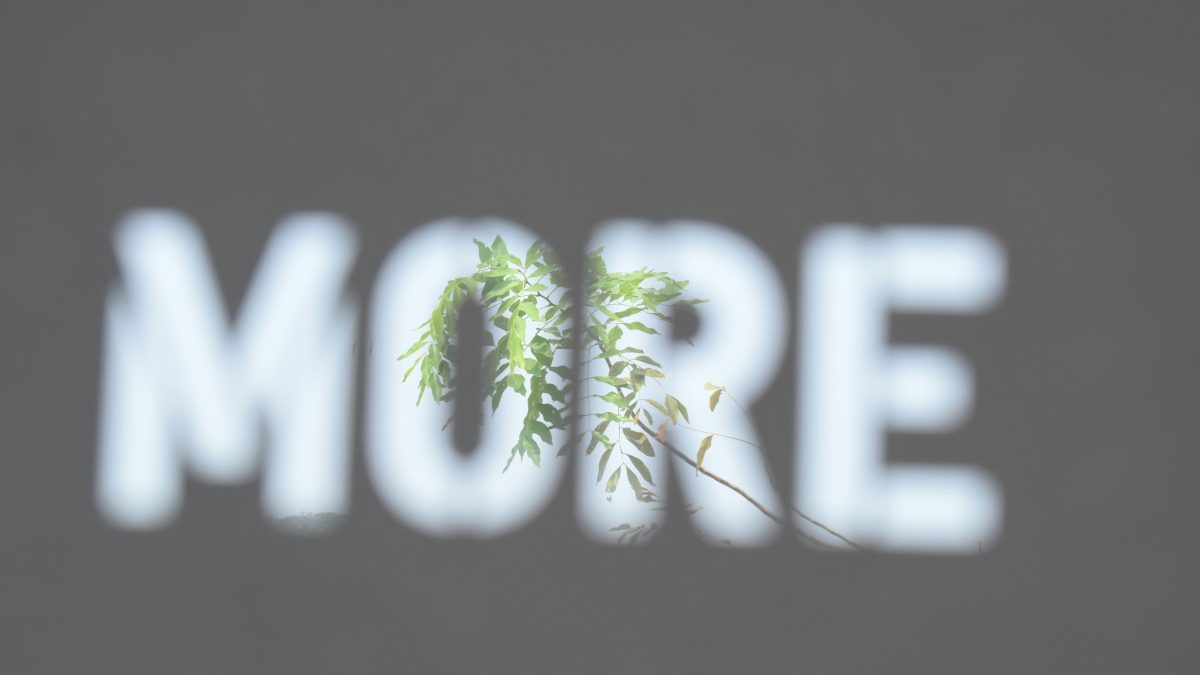 Graphic with the word more on it and a green leaf